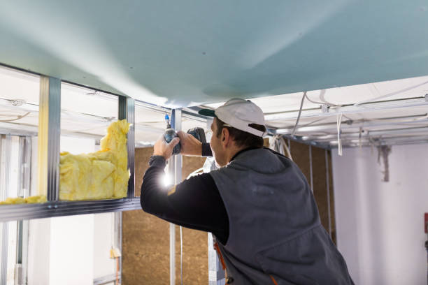 Best Insulation Installation Services in , WI